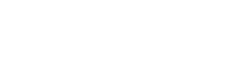 IT ADMINZ — Smart Solutions